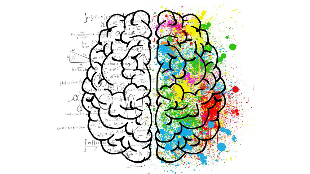 Brain