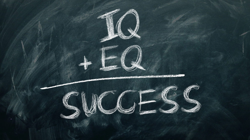 IQ Test